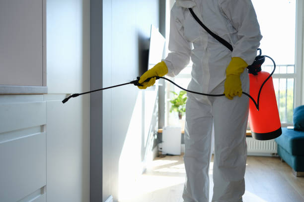 Mold Removal Process in Laurel, MT