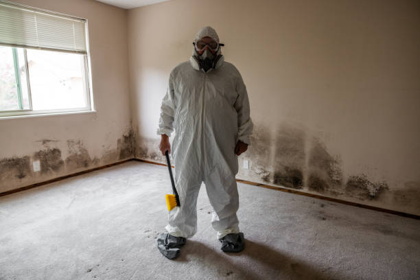 Best Attic Mold Removal  in Laurel, MT